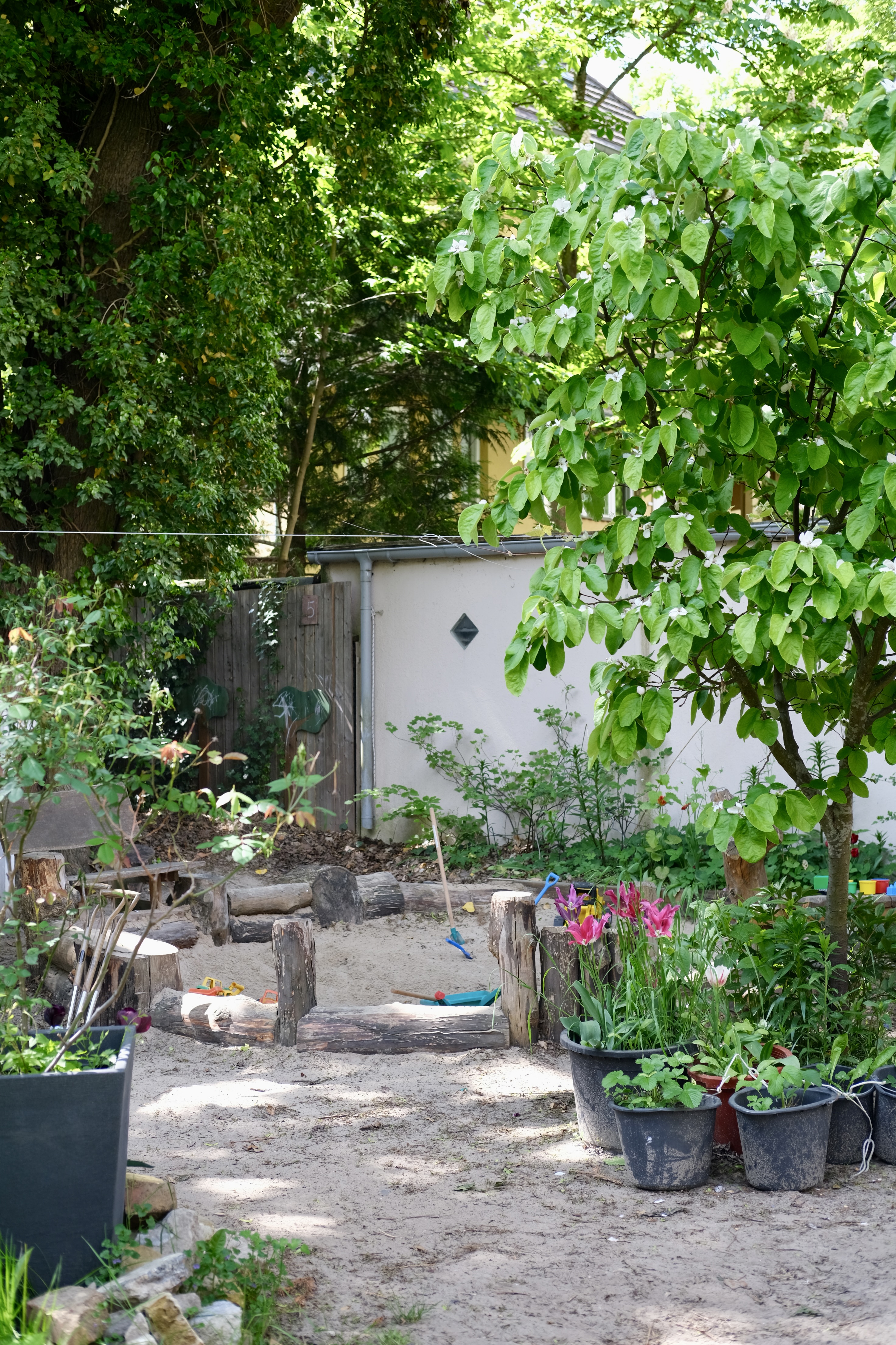 Blumenbeete und Natur im Kita-Garten